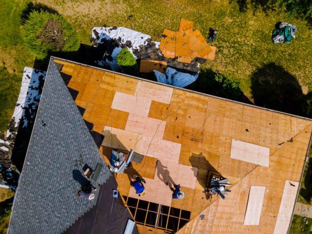Quick and Trustworthy Emergency Roof Repair Services in Crawfordville, FL