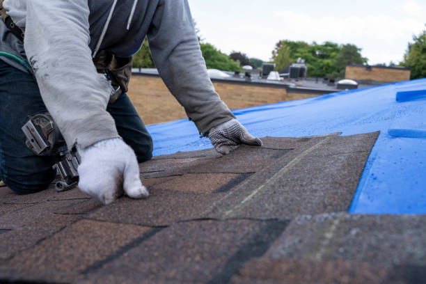 Best Commercial Roofing Services  in Crawfordville, FL